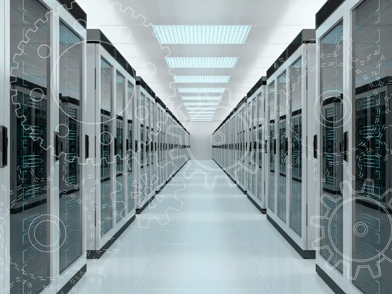 Explore our Dedicated Server specs